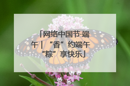 网络中国节·端午｜“香”约端午 “粽”享快乐